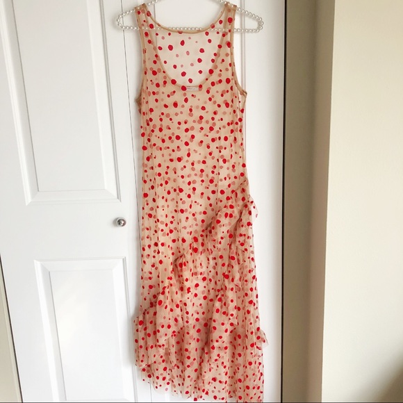 zara polka dot sheer dress
